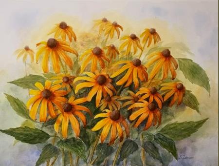 Rudbekija, (Akvarel - 50x70) Silvo Zdovc